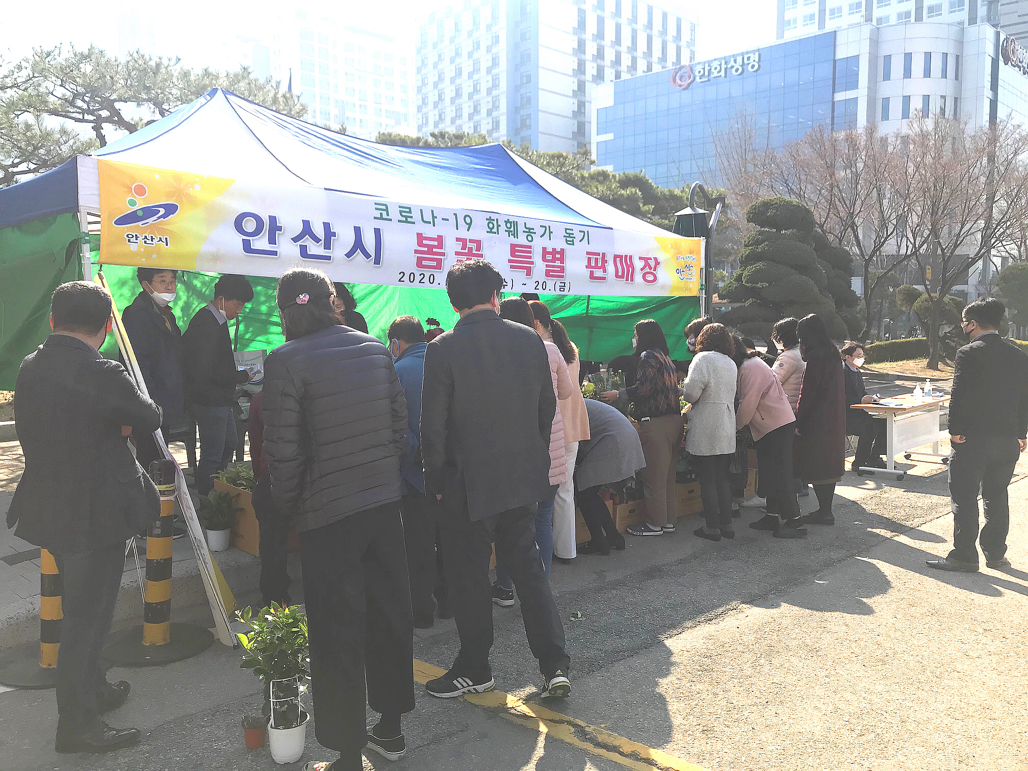 안산시, 코로나19 피해 화훼농가 돕기…봄꽃 특별 판매장 운영