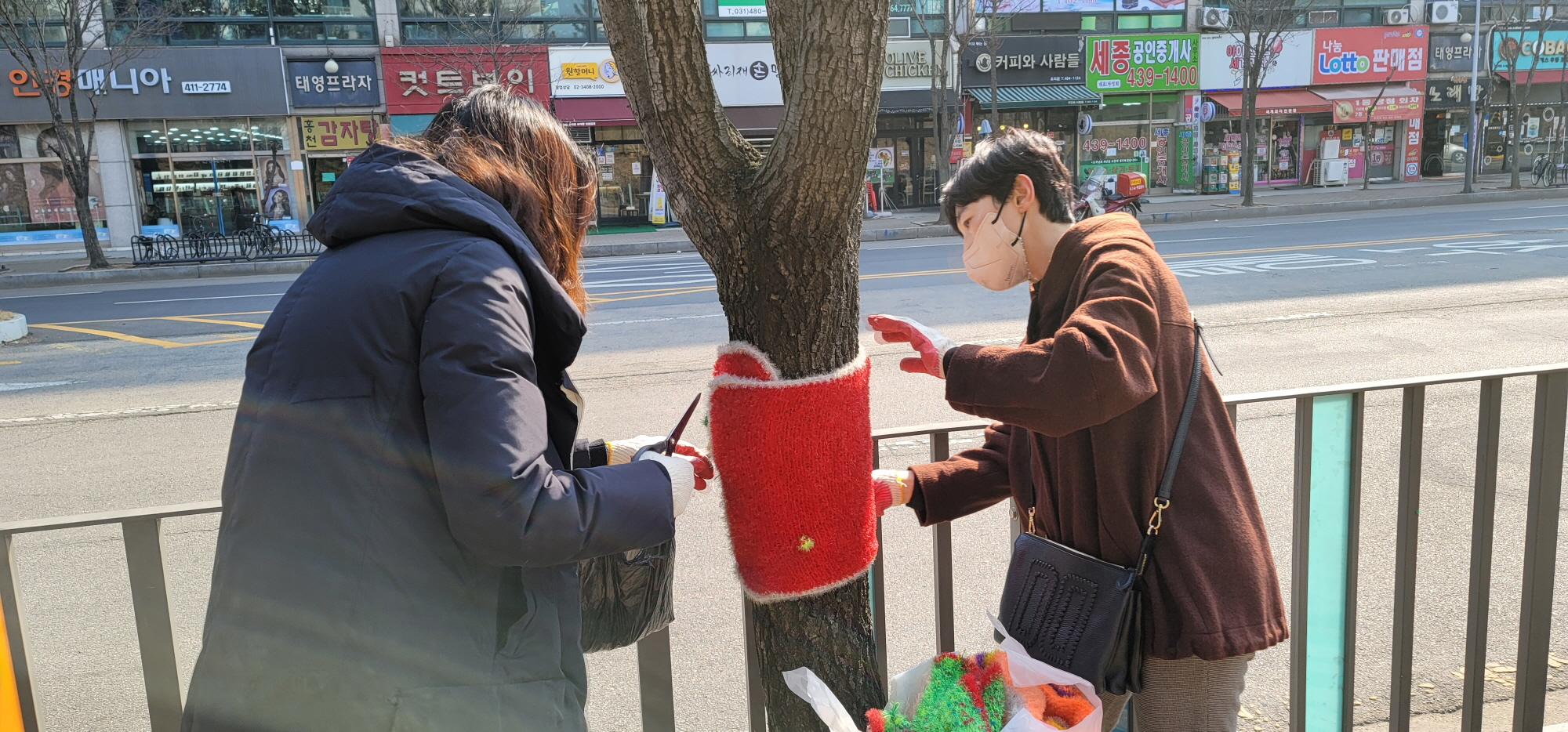 안산시 초지동 주민자치회, 겨울나기 나무옷 제거