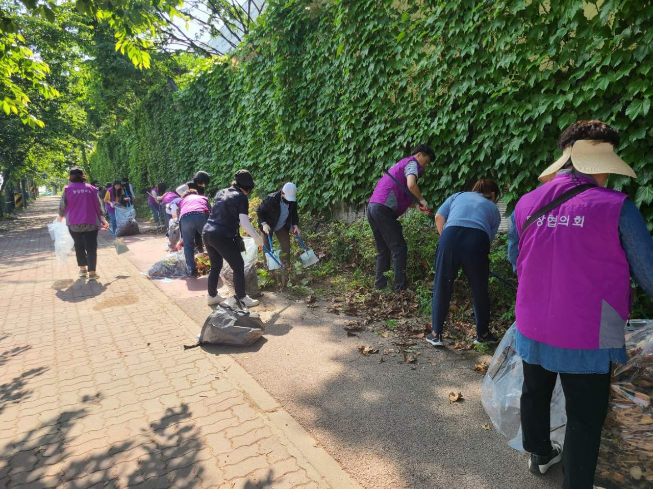 안산시 사이동,  여름철 풍수해 대비 환경정비