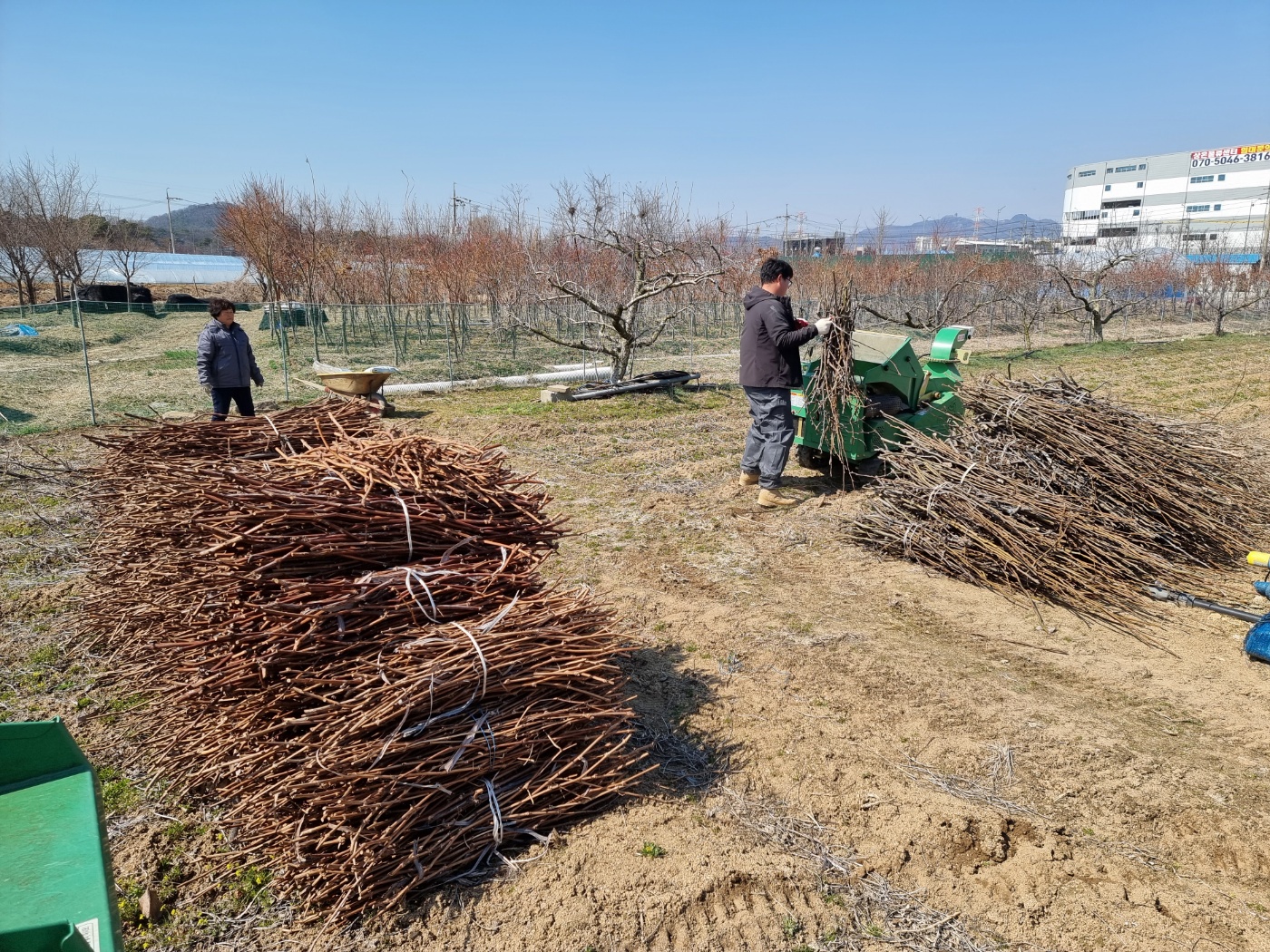 안산시,“영농부산물 안전하게 처리… 파쇄지원단 확대 운영”