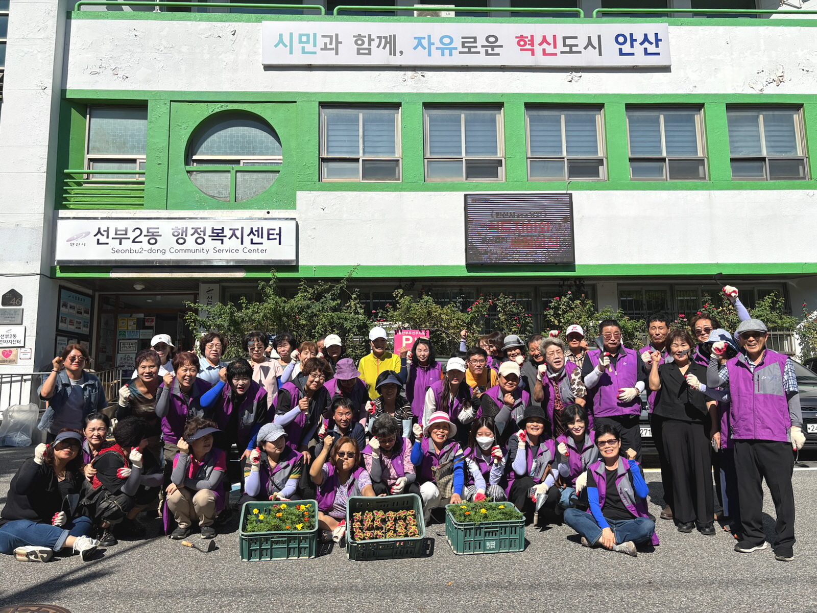안산시 선부2동 통장협의회, 가을꽃 식재 활동 펼쳐
