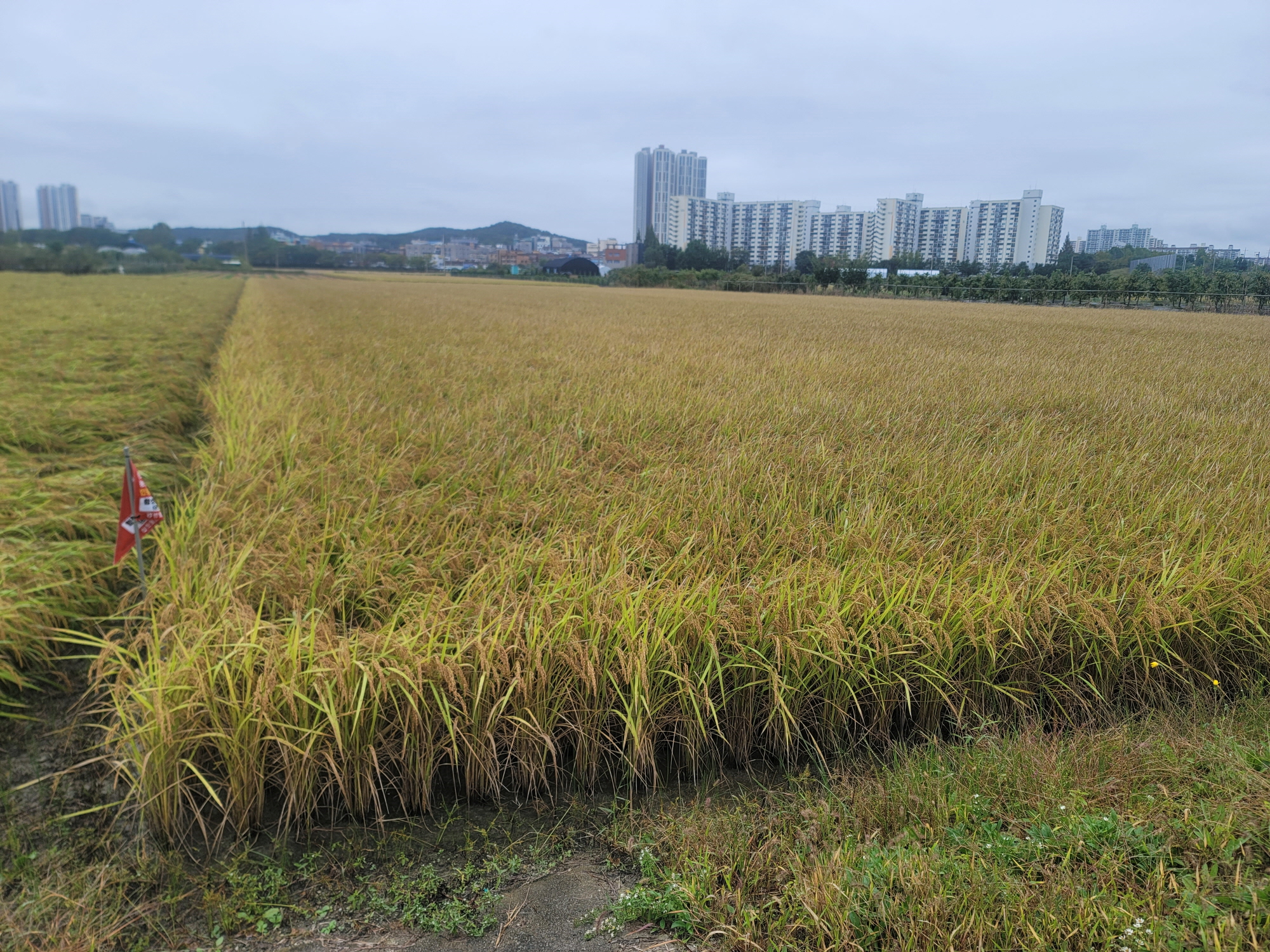 안산시, 대표 특산물 7선 맛·명성 입소문… 브랜드 홍보 강화
