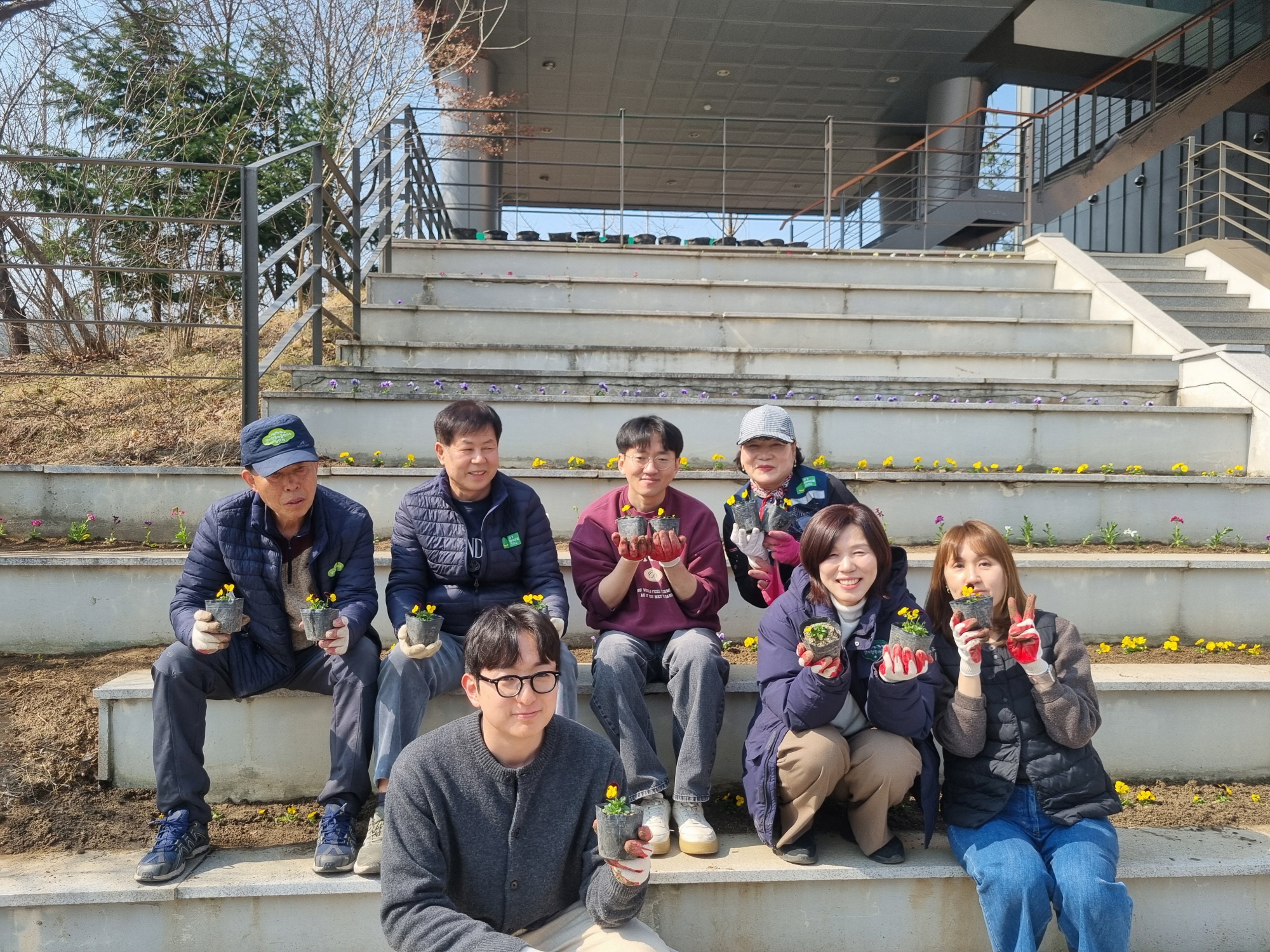 안산시 일동, 봄맞이 봄꽃 식재로 화단 새단장