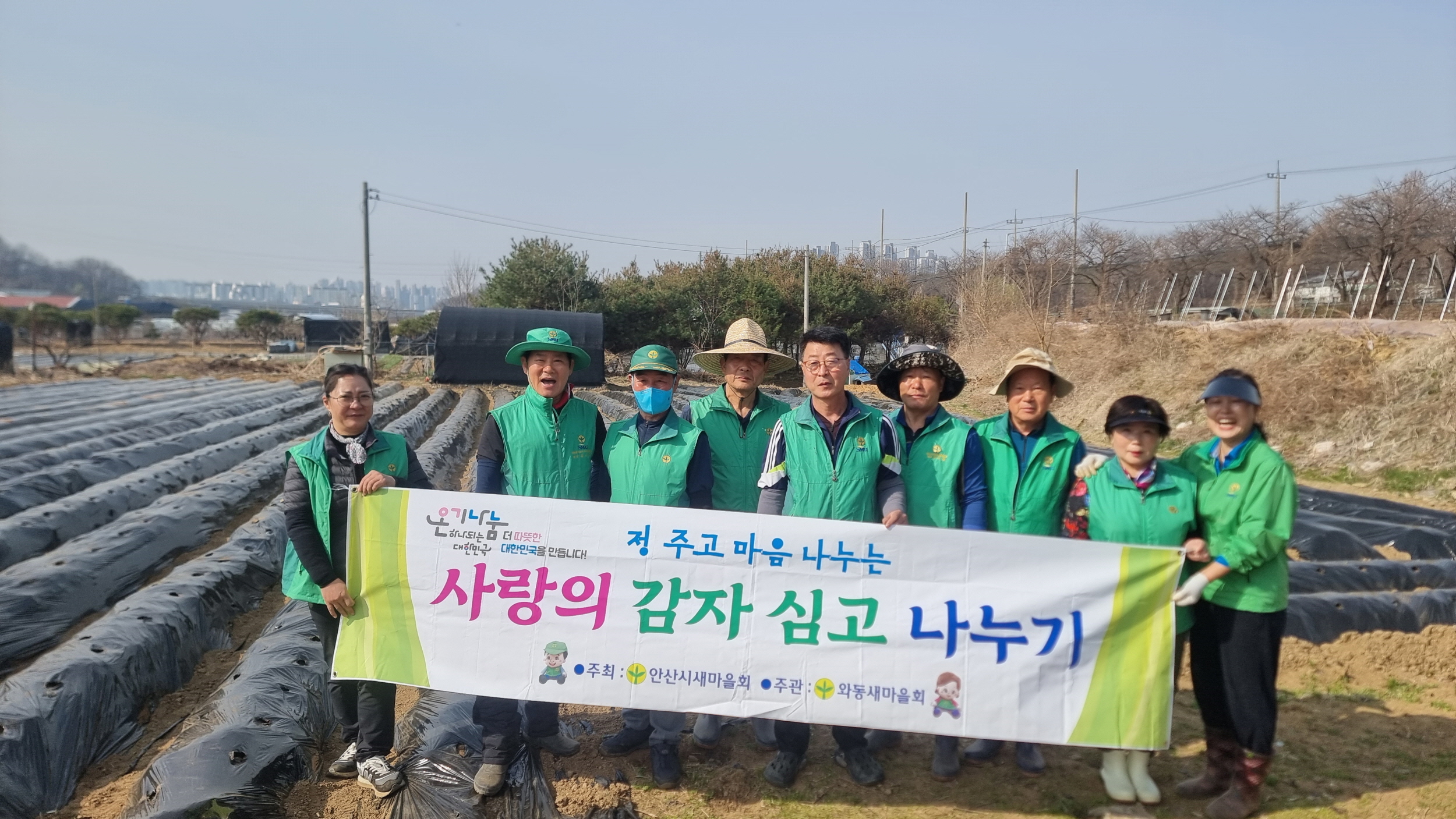 안산시 와동 새마을회, 사랑의 감자 심기 활동 추진