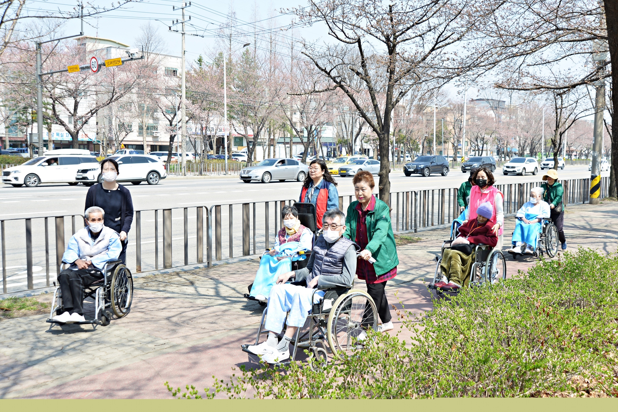 벚꽃과 함께한 사이동의 봄 … 주민이 만든 축제 ‘성료’
