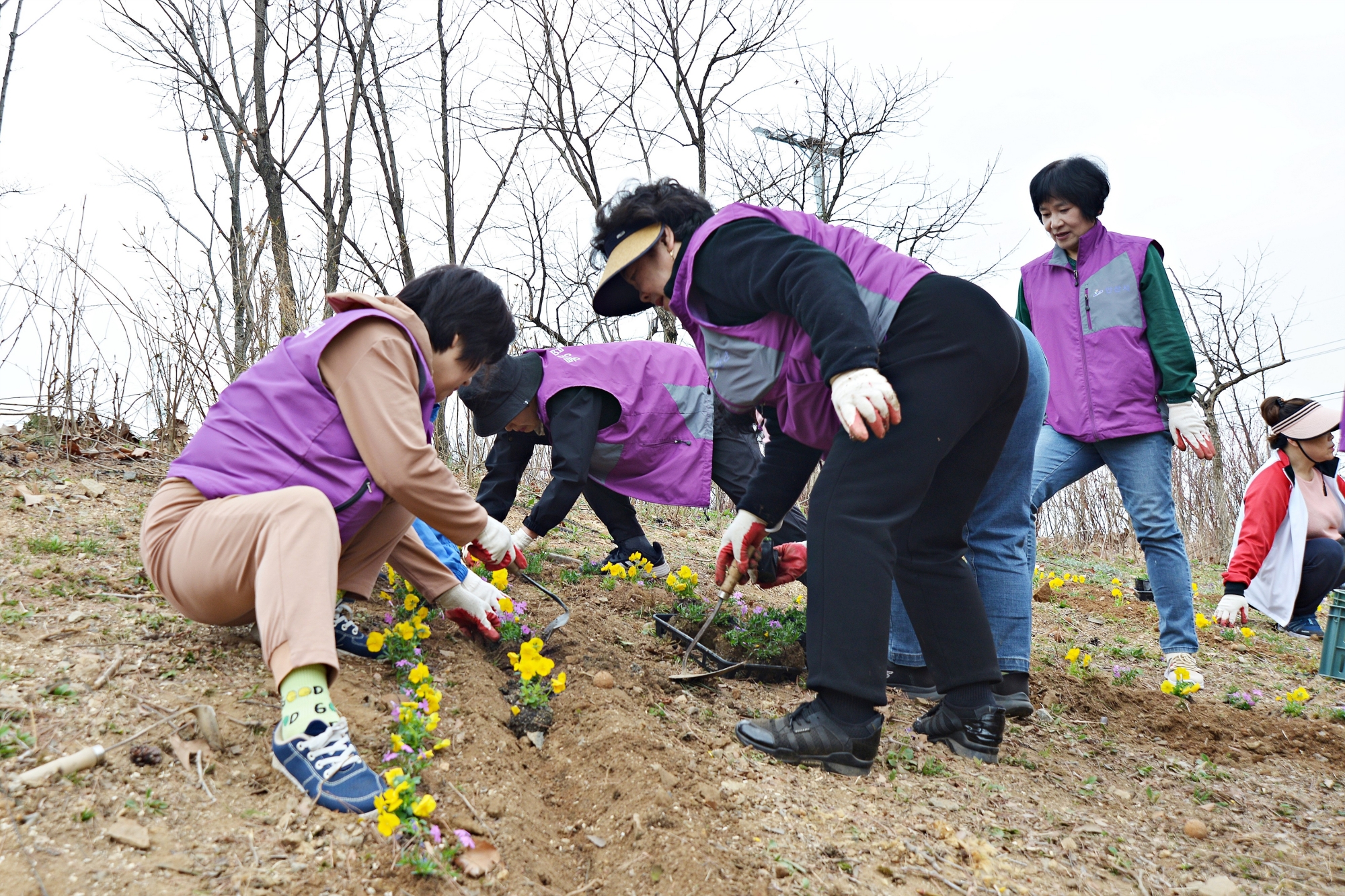 벚꽃과 함께한 사이동의 봄 … 주민이 만든 축제 ‘성료’
