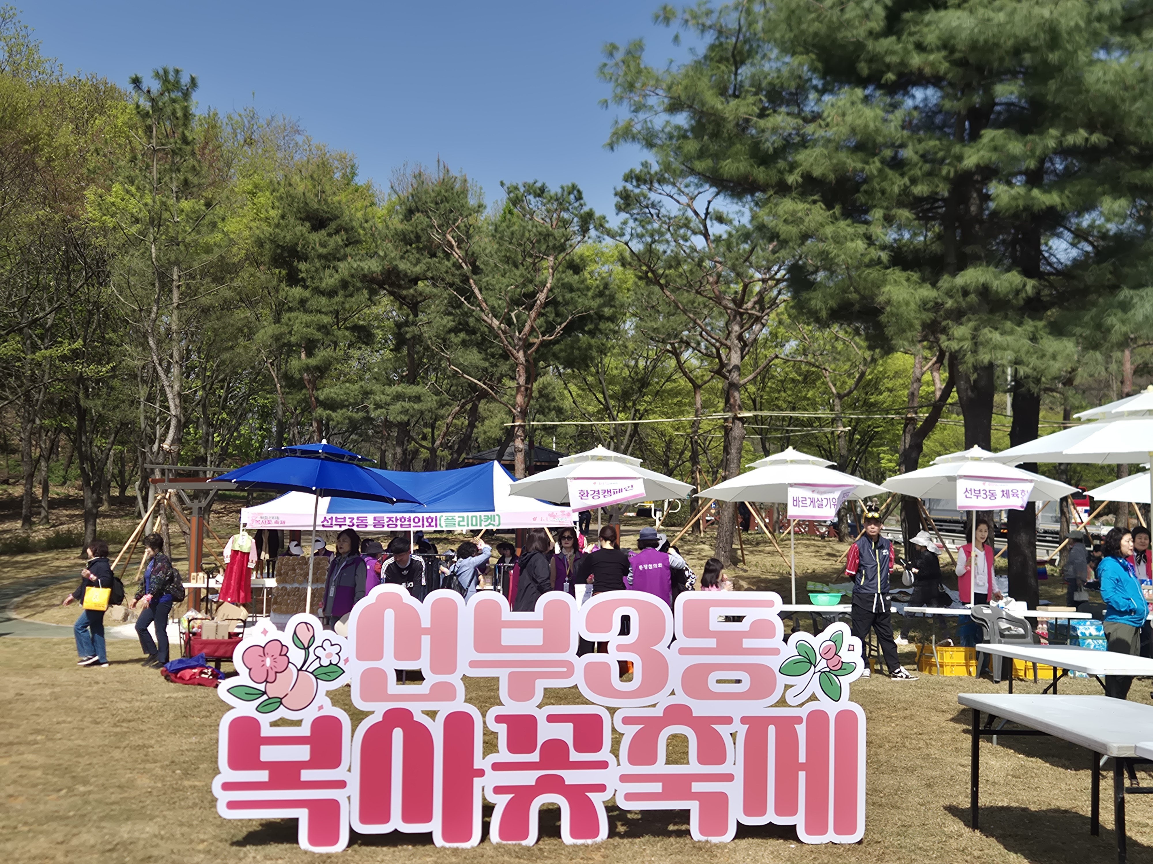 안산시 선부3동, 제4회 복사꽃 축제 성황리 마무리