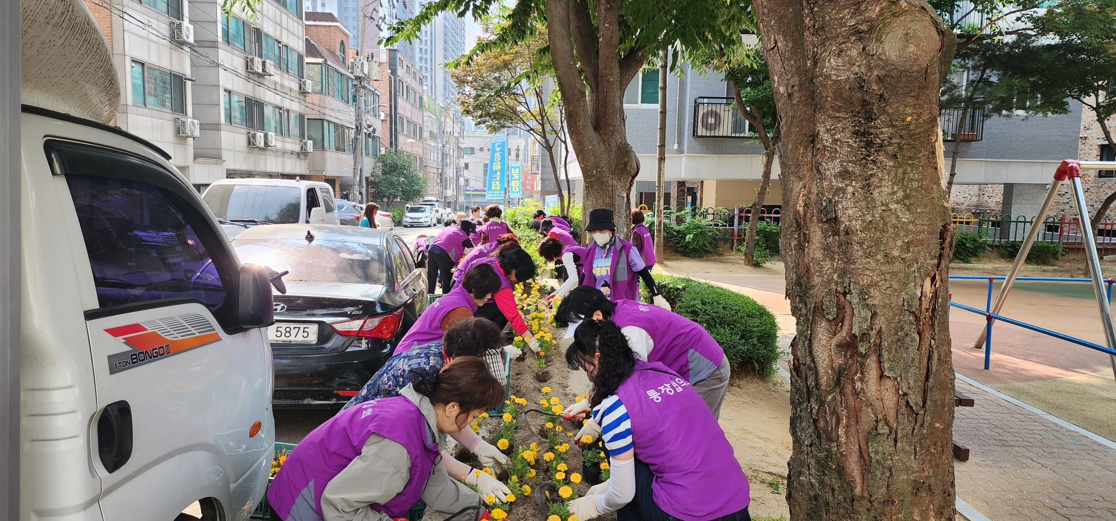 안산시 백운동 통장협의회, 여름꽃으로 단장한 마을풍경