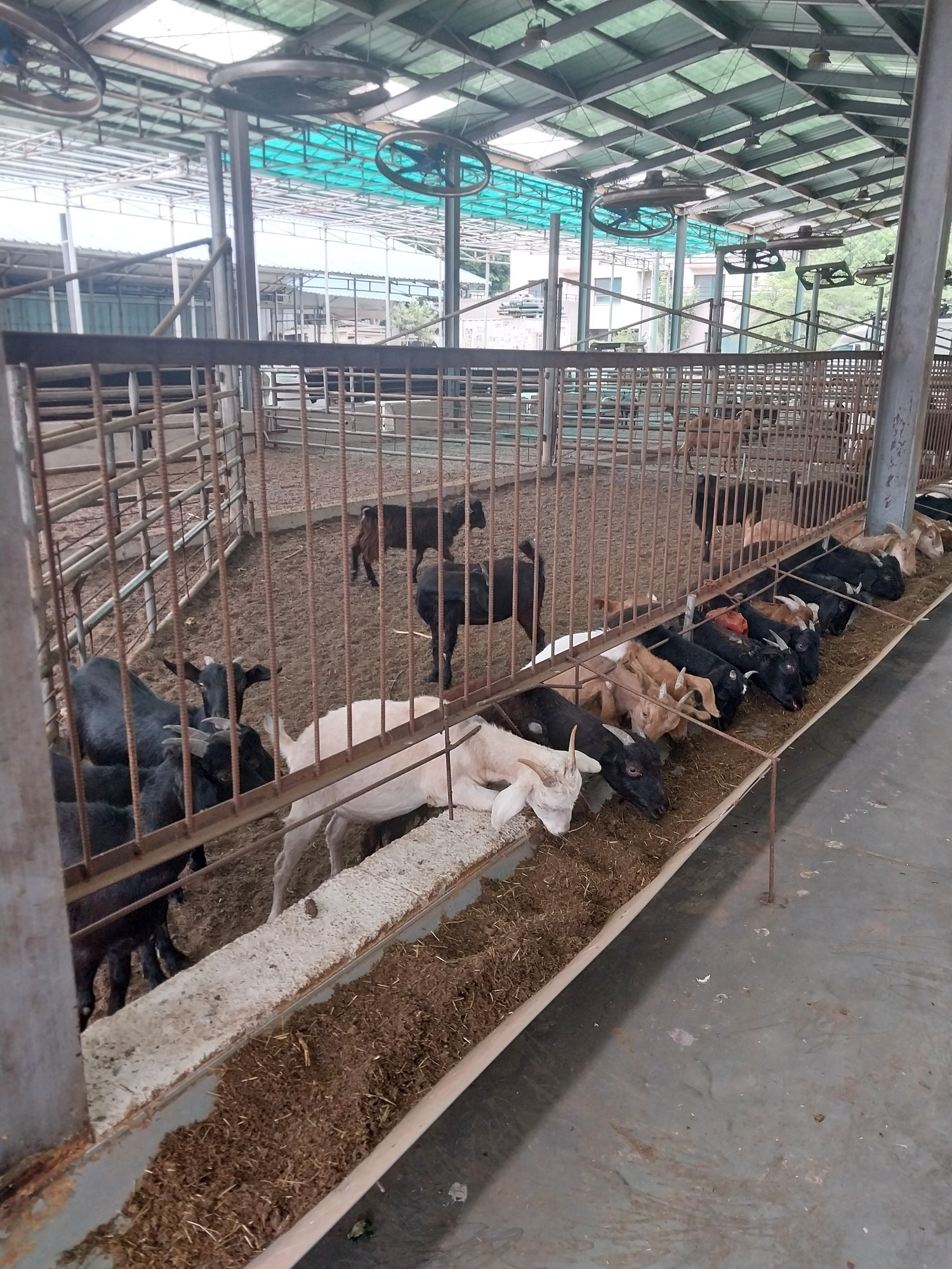 안산시 농수산물도매시장, 농산부산물 자원화로 농가 상생 실천
