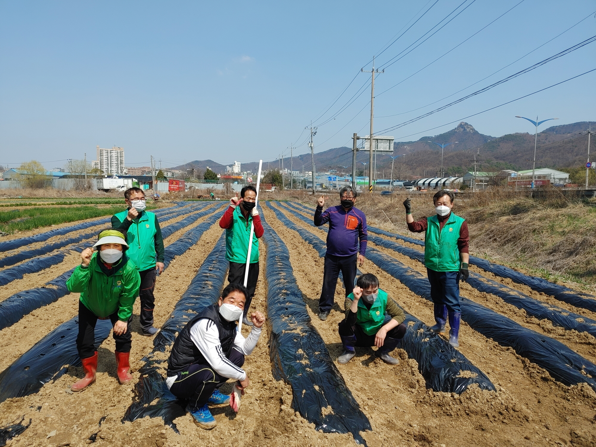 안산시 안산동 새마을회, 이웃 나눔 위한 감자심기