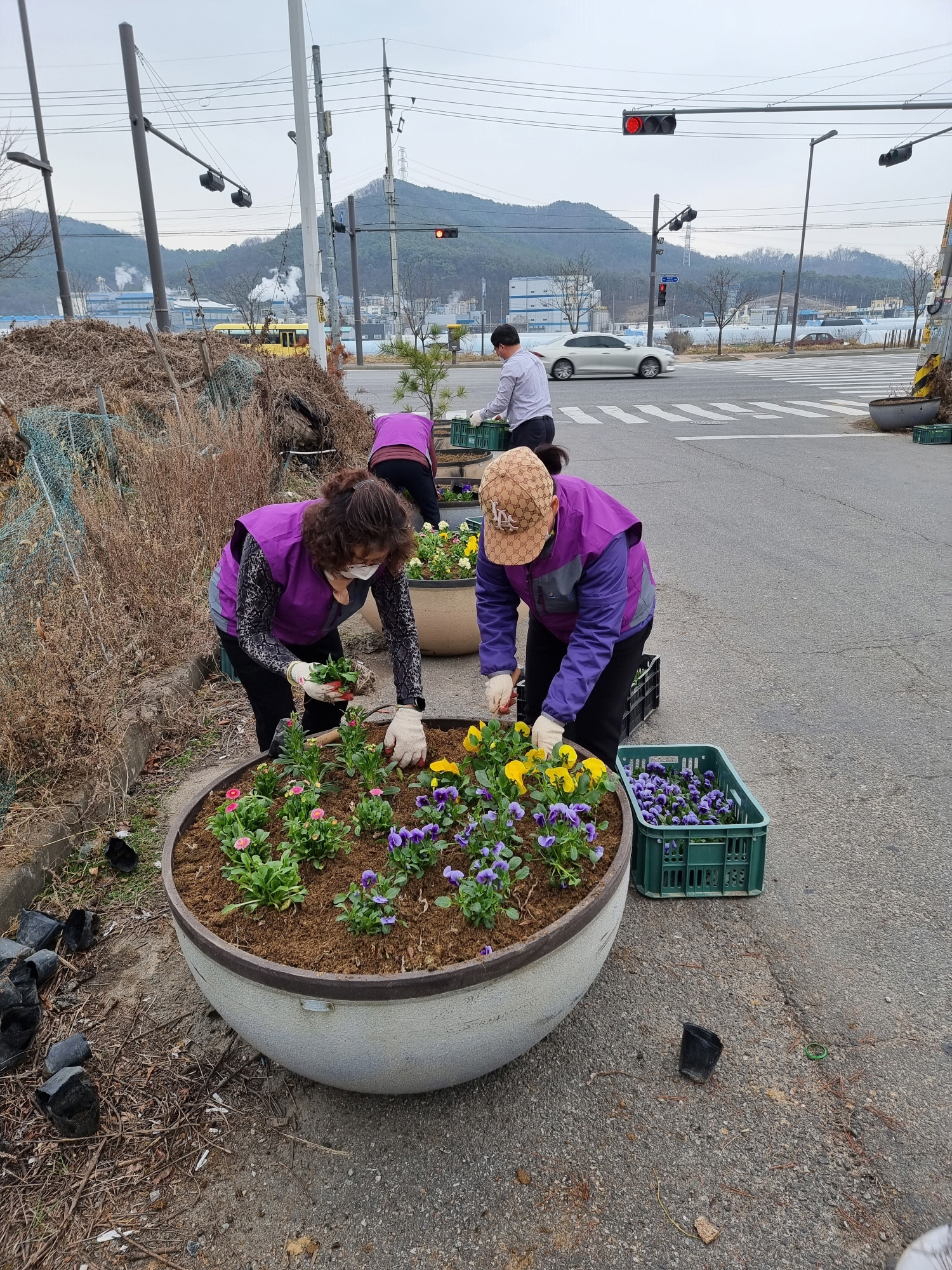 안산시 본오1동, 봄맞이 꽃 심기 행사 개최