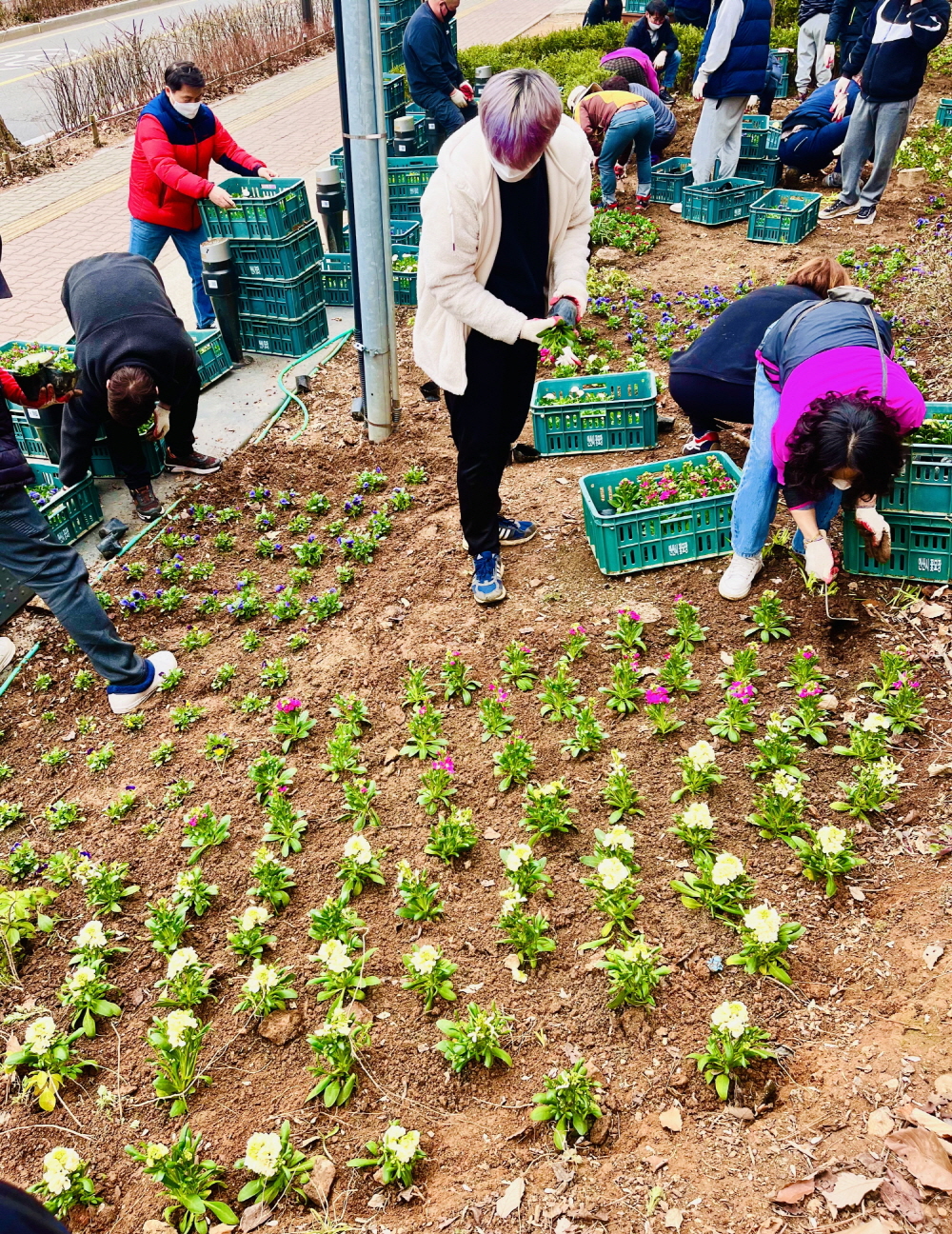 안산시 고잔동, 싱그러운 꽃과 함께 본격적인 봄맞이