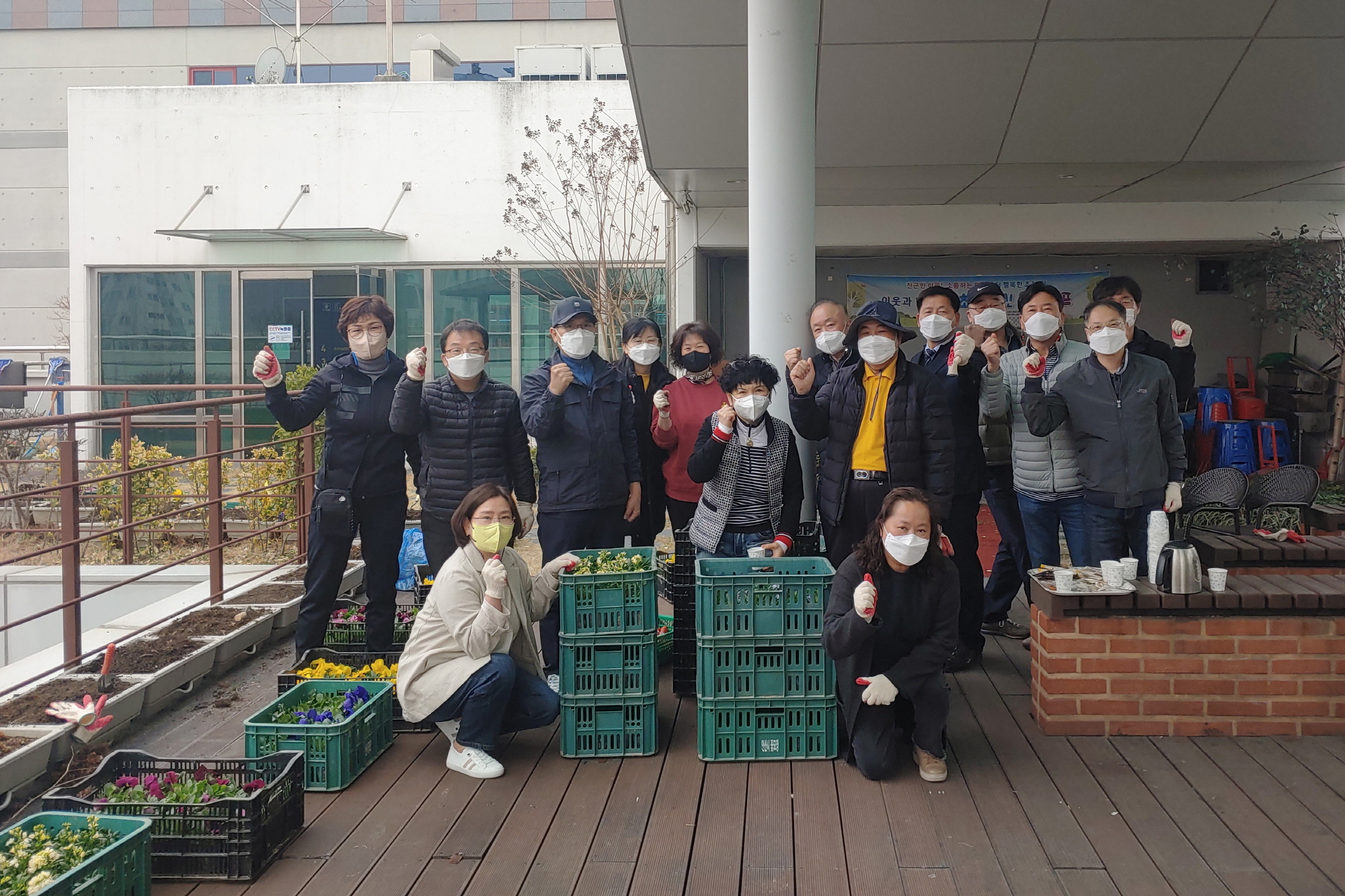 안산시 초지동에 새봄이 성큼 ‧‧‧데이지, 비올라 영롱한 자태 뽐내