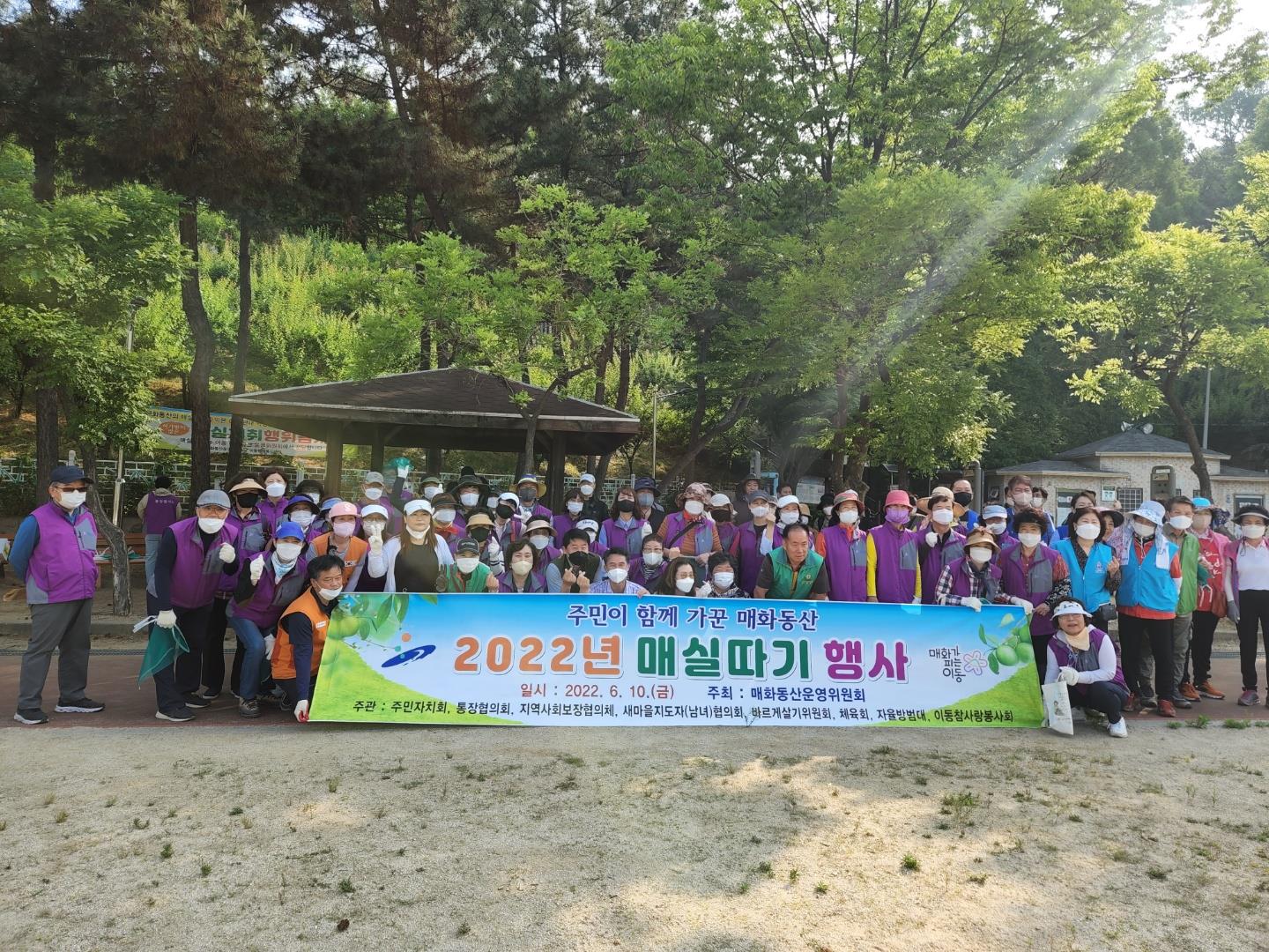 안산시 이동 구룡매화동산운영위원회, 2022년 매실따기 행사