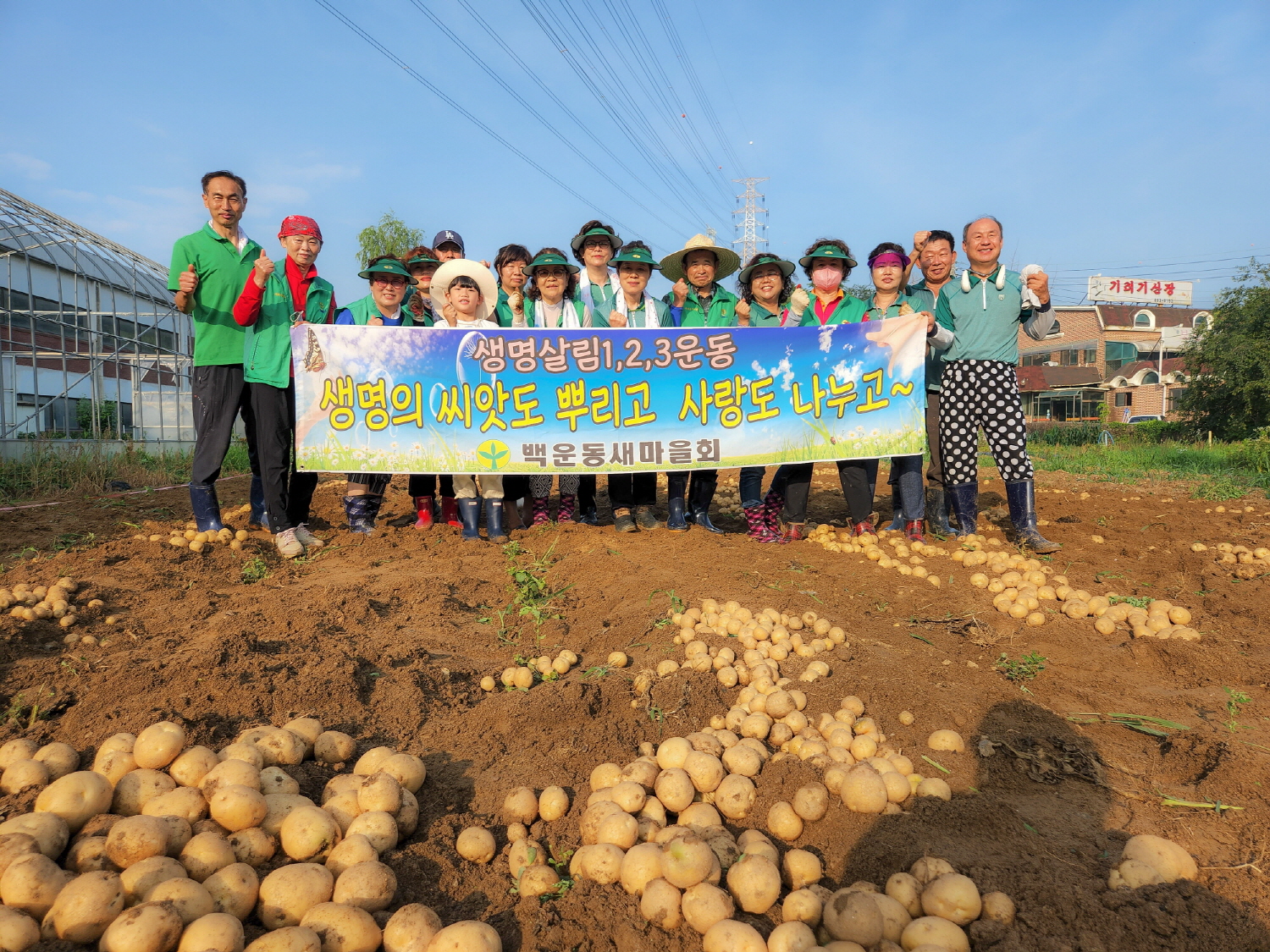 안산시 백운동 새마을회, 사랑愛 감자 나눔 행사