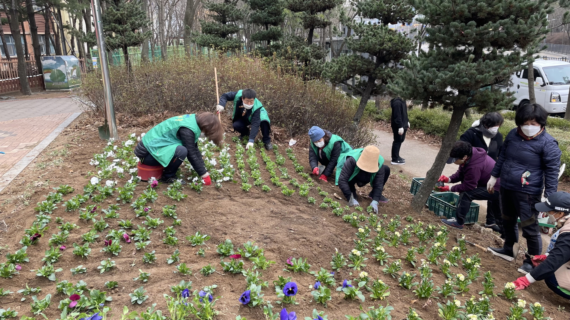 안산시 해양동, 봄꽃 식재로 아름다운 꽃길 조성