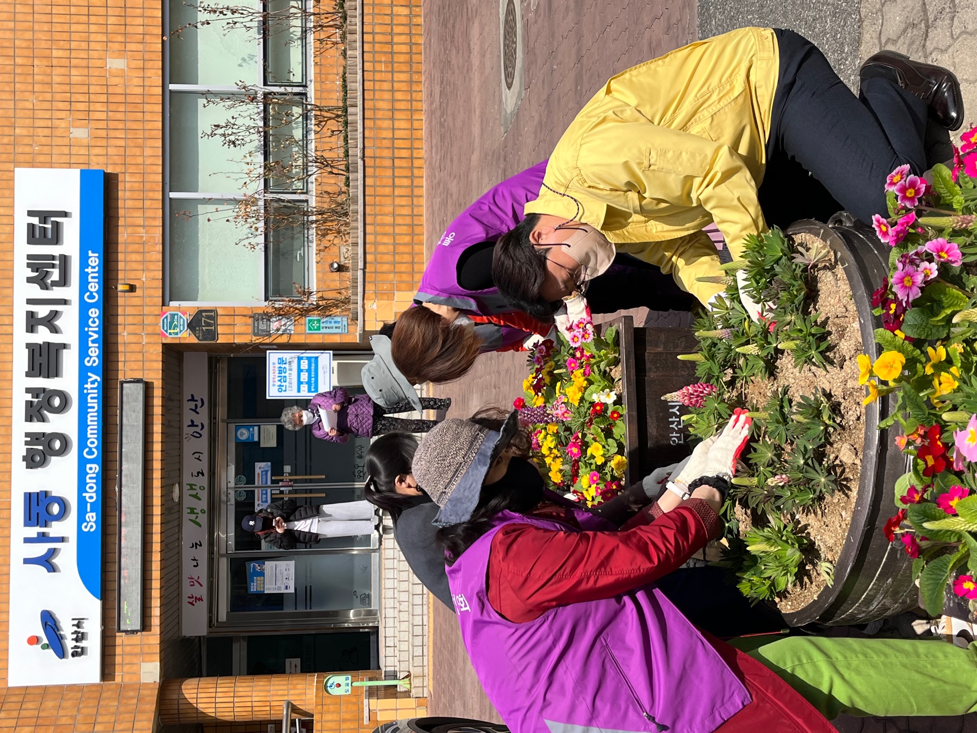 안산시 사동, 봄꽃 식재로 화사한 봄기운 물씬