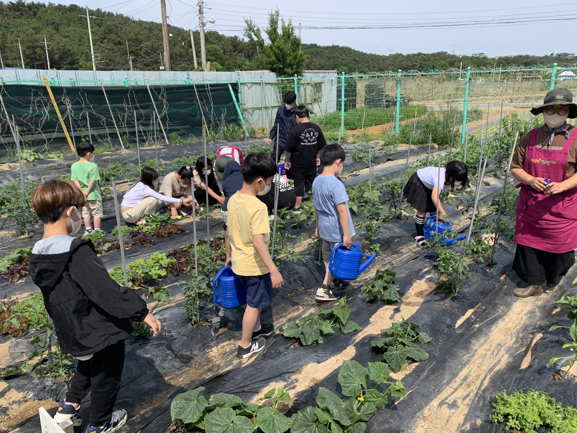 안산시, 도시 농업 활성화 위해 텃밭 교육 프로그램 실시