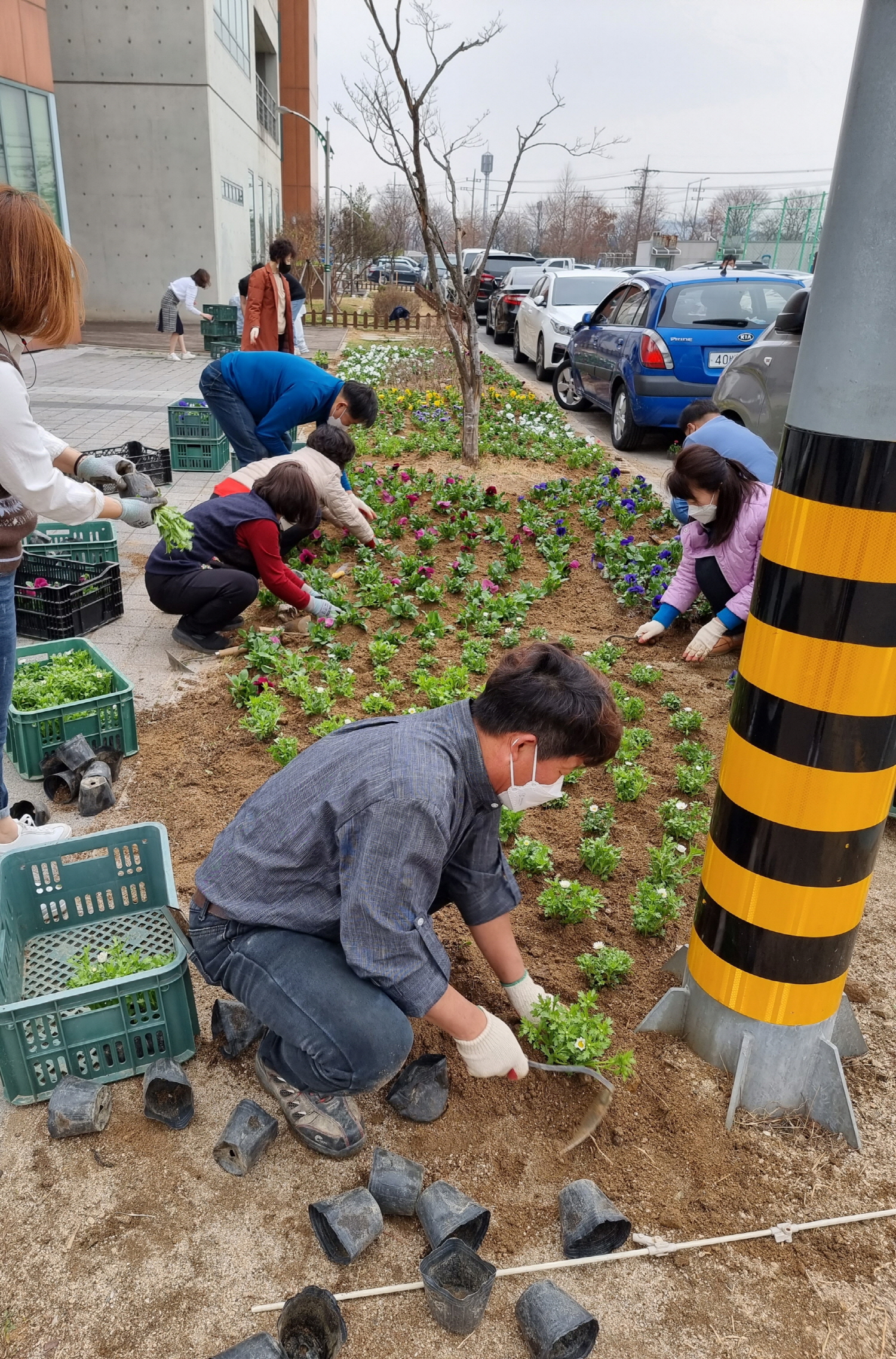 안산시 본오1동, 봄맞이 꽃 심기 행사 개최