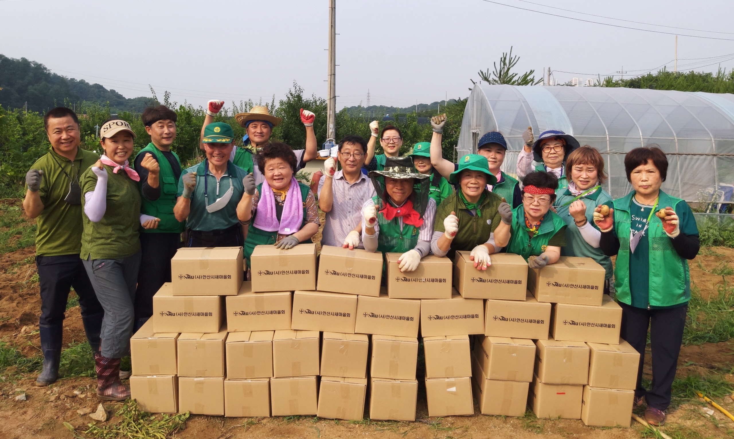 안산시 와동 새마을회, 감자로 행복 나눔 실천