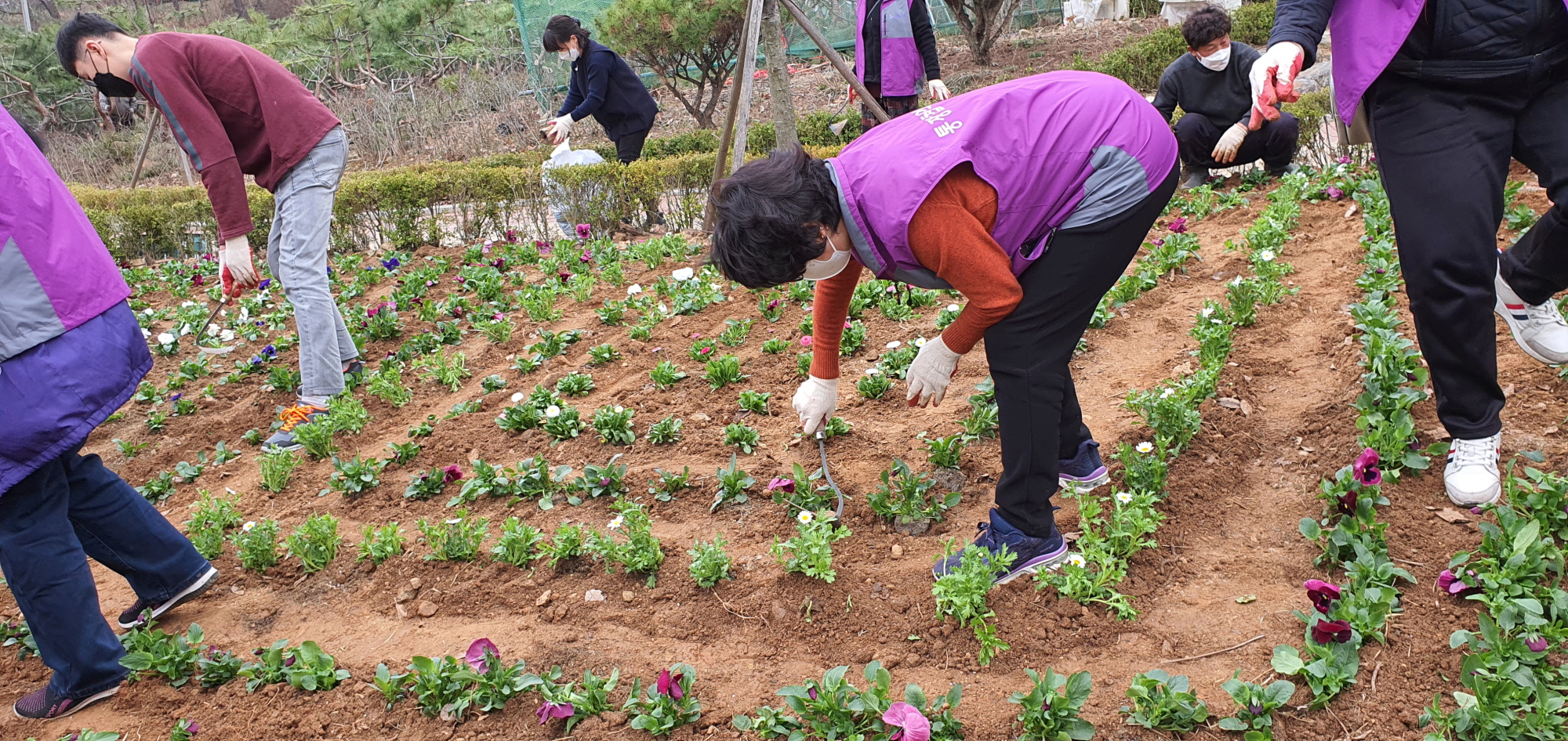 봄봄봄 부곡동에 봄이 왔어요♪