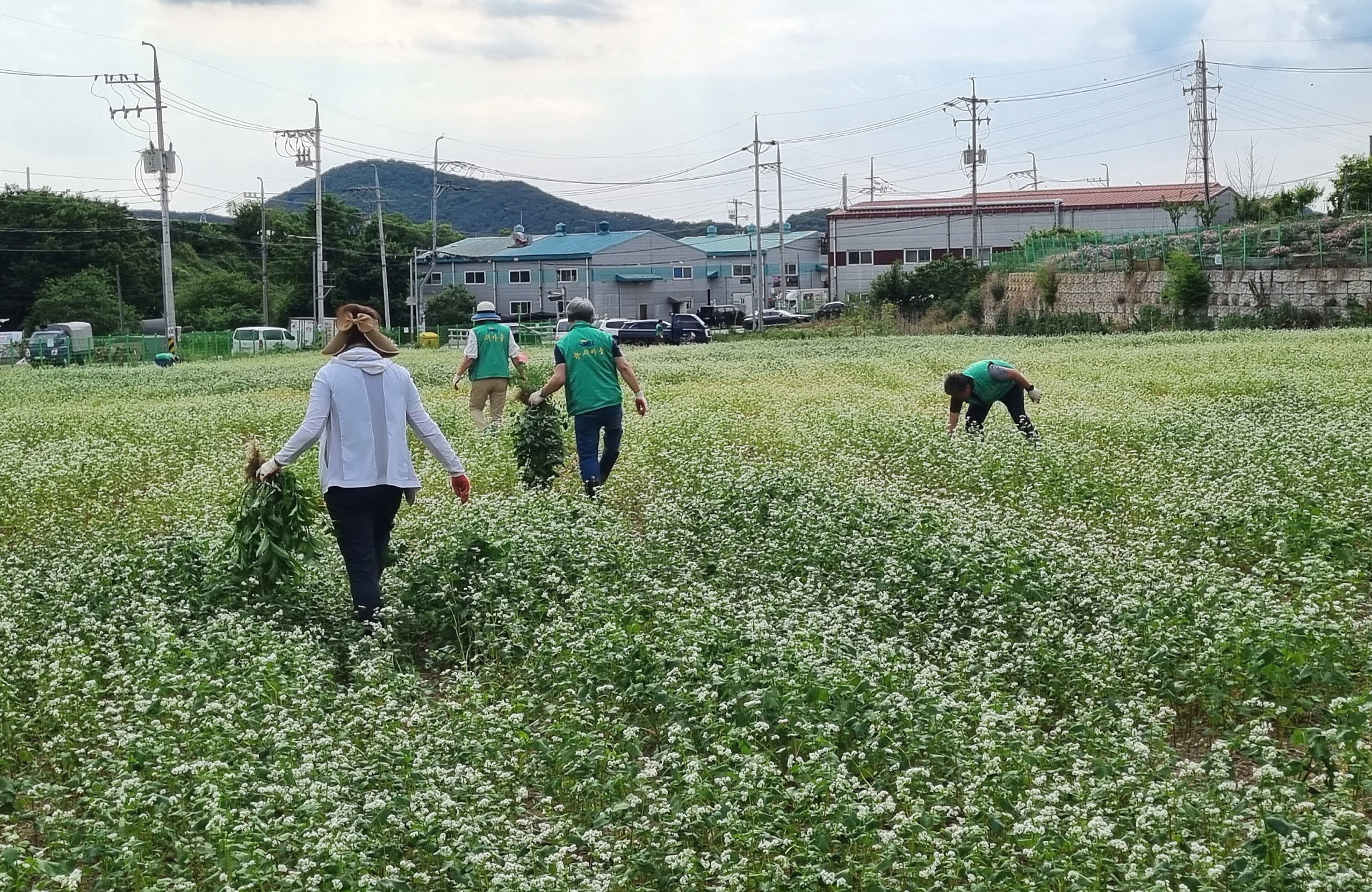 안산시 부곡동 새마을회, 옹기마을 정원가꾸기 추진