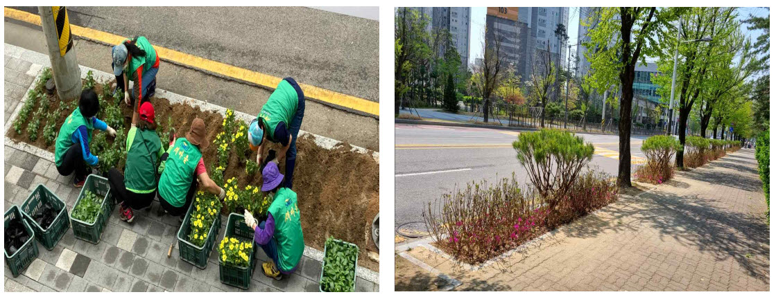 안산시 성포동 새마을부녀회, 여름꽃으로 주민에 희망 선사