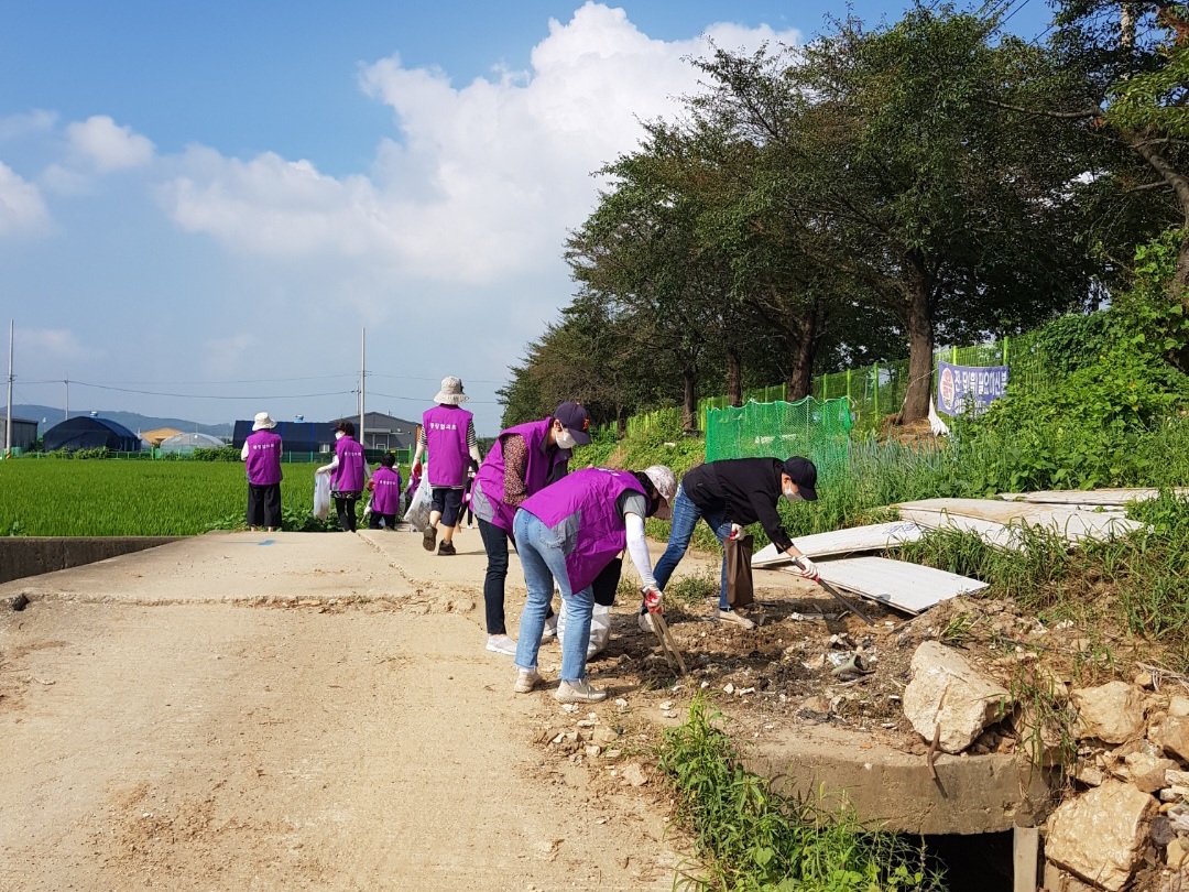 안산시 본오1동 통장협의회, 수해 쓰레기 수거 봉사 활동