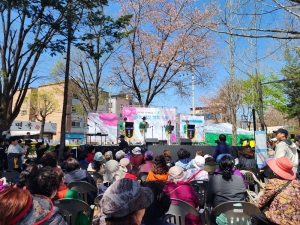 안산시 사이동, 벚꽃 축제 성황리에 개최