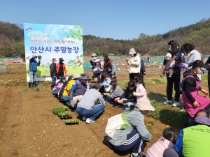 “도심 속 자연과 함께”안산시 주말농장 3,566구좌 분양 마쳐