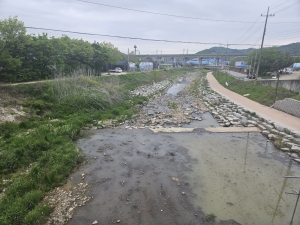 안산시 반월천, 환경부 주관 수생태계 연속성 확보 시범사업 공모 선정