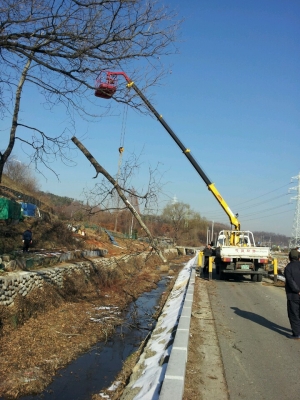 안산시, 주택가 등 인근 위험 수목 정비… 우기 대비 사전 예방