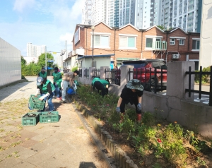 안산시 성포동 새마을회, 화사한 가을꽃 식재