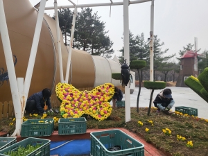 안산시 와동, 와리정원 봄꽃 식재