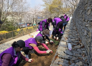 안산시 선부2동, 8개 직능단체, 식목 행사 개최