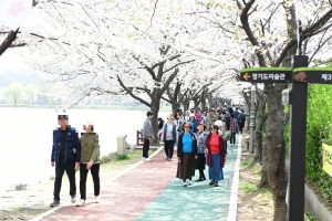 화랑유원지 수놓은 봄날의 향연…‘제1회 안산 벚꽃 놀이터’큰 호응