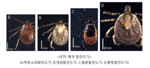 안산시, 봄철 야외 활동 시 참진드기 피해 예방 철저 당부
