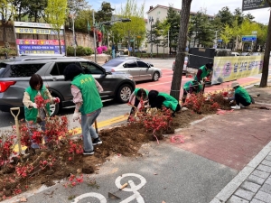 안산시 선부1동 새마을부녀회, 봄맞이 영산홍 식재 및 환경정화활동