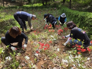 안산시 백운동 주민자치회, 백운공원 환경정비 실시