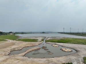 안산시, 멸종위기·갯벌 생물종 서식환경 복원… 지속 가능 생태도시로