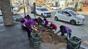 안산시 사이동 통장협의회, 봄꽃 식재로 마을에 봄기운 더해