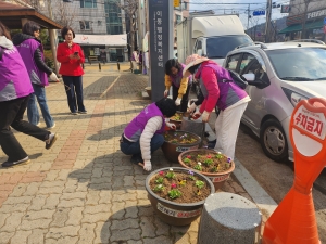 안산시 이동, 봄맞이 꽃 식재로 청사환경 새단장
