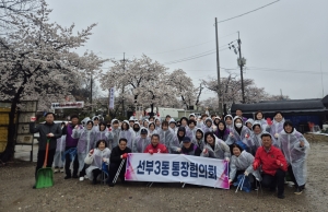 안산시 선부3동 통장협의회, 화정동 환경정화로 화사한 벚꽃길 조성