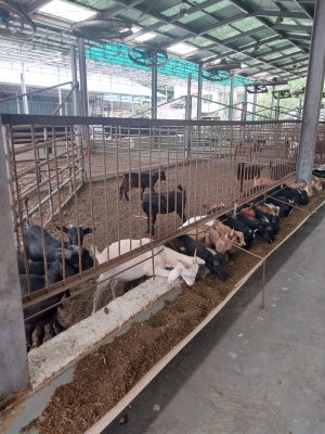 안산시 농수산물도매시장, 농산부산물 자원화로 농가 상생 실천