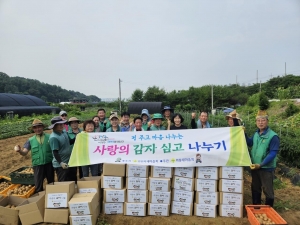 안산시 와동 새마을회, 사랑의 감자 나눔 추진