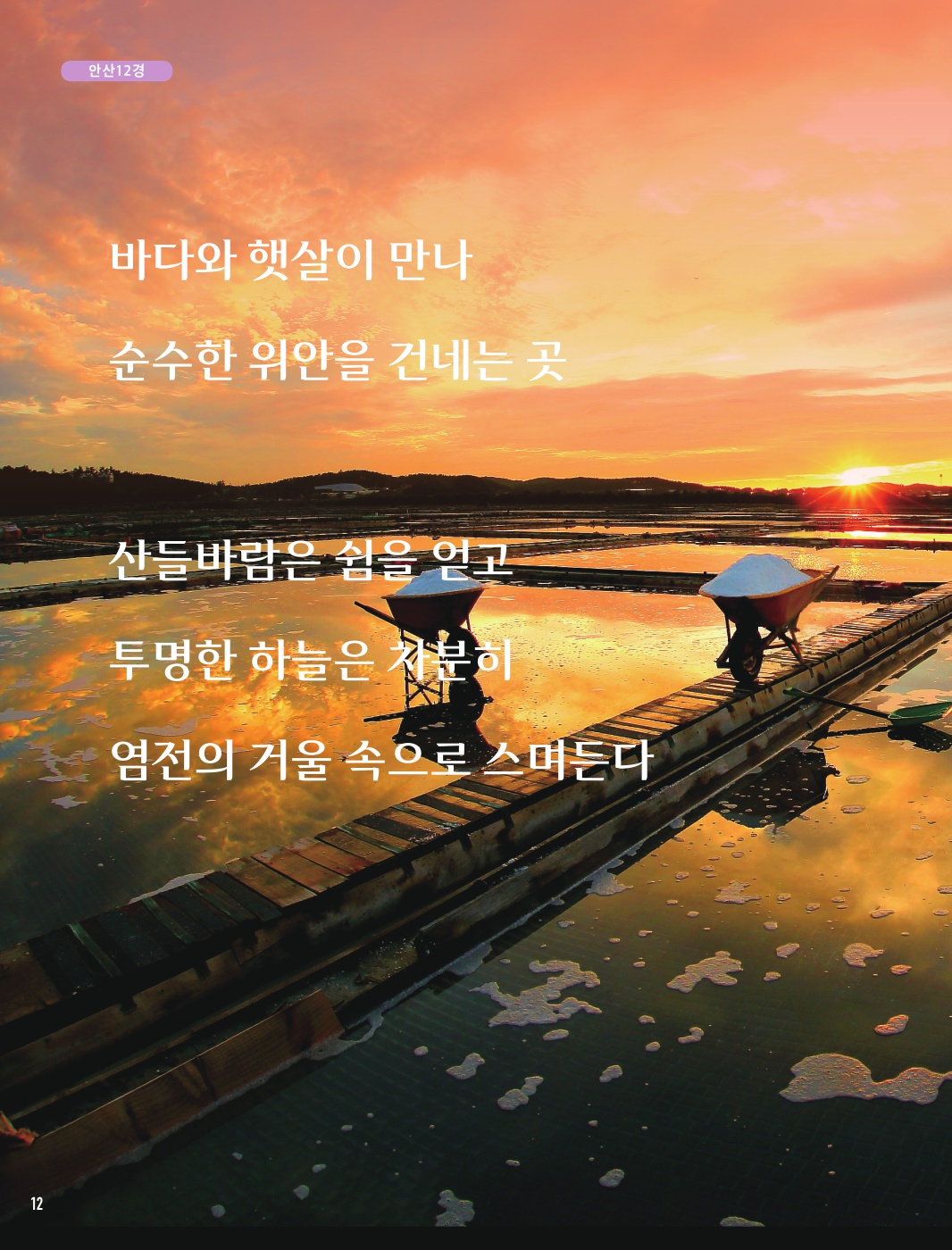안산6경 '동주염전'
