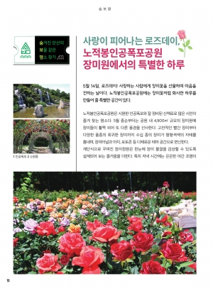 사랑이 피어나는 로즈데이, 노적봉인공폭포공원 장미원에서의 특별한 하루