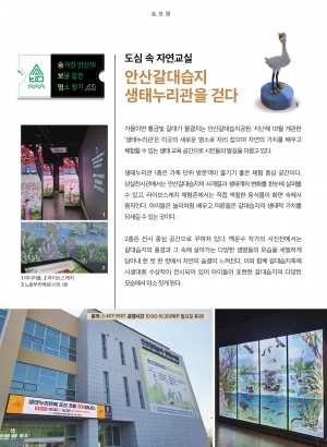 안산갈대습지 생태누리관