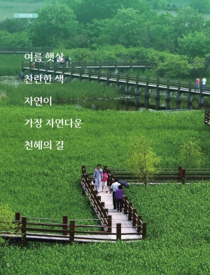 안산7경 '안산갈대습지'