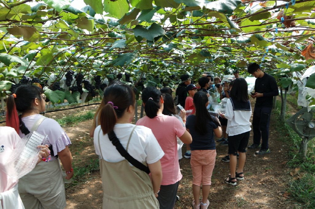 로컬푸드와 함께하는 생생체험 실시